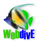WebDive -       .